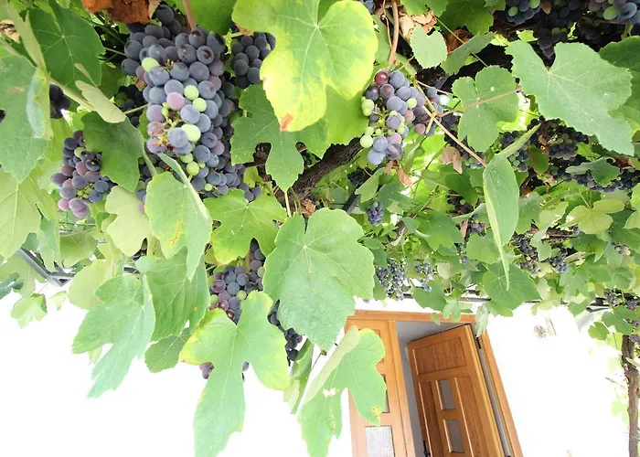 Lejlighed Cozy&quiet